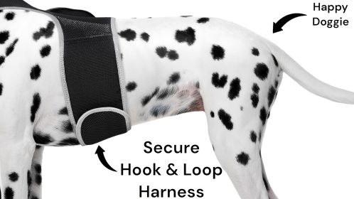 Pocket Wearable GPRS GSM GPS Dog Locator Waterproof Pet Collar Tracker Size:L